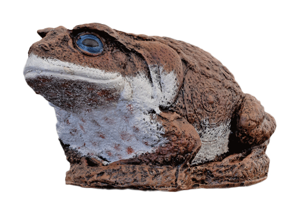 Wildcrete Kröte Wildcrete Kröte