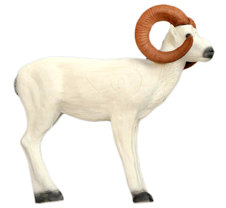 Leitold, Dallschaf stehend Leitold, Dallschaf stehend