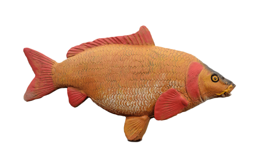 Wildcrete Karpfen Wildcrete Karpfen