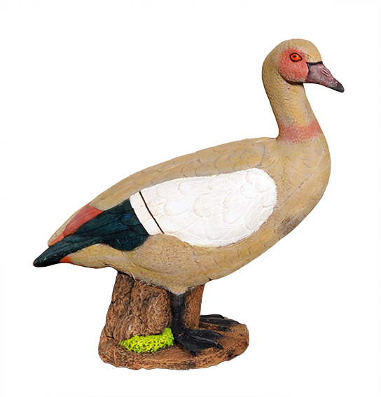 Wildcrete Ägyptische Gans Wildcrete Ägyptische Gans