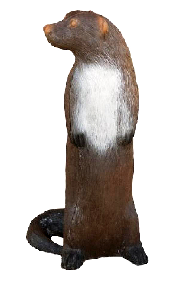 Leitold, Fischotter stehend Leitold, Fischotter stehend