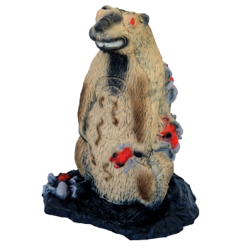 Leitold, AGGROundhog Leitold, AGGROundhog