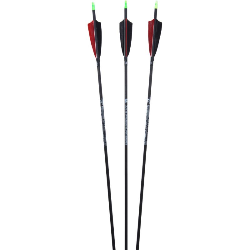 Standardpfeil Penthalon Traditional Black Federn Standardpfeil Penthalon Traditional Black Federn