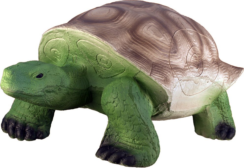 Eleven Schildkröte
