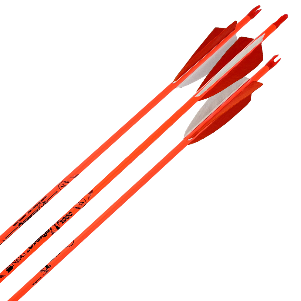 Fertigpfeil Color Line Orange Spine 1000 Fertigpfeil Color Line Orange Spine 1000