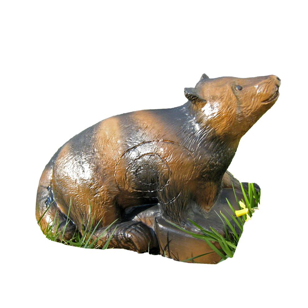CSS, Waschbär Ernie CSS, Waschbär Ernie