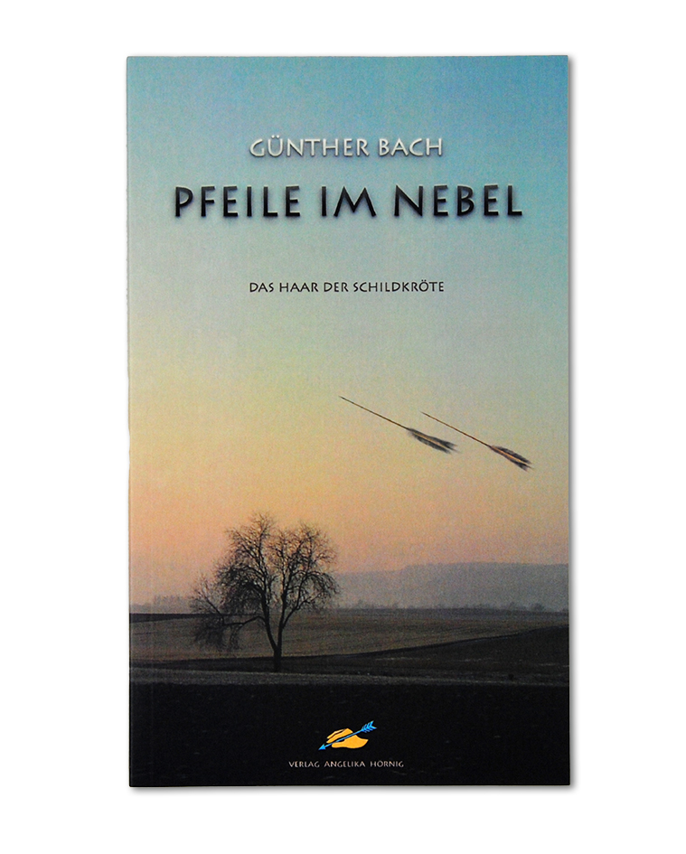 Buch Pfeile im Nebel Buch Pfeile im Nebel