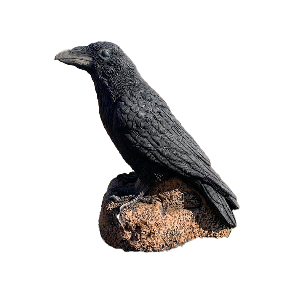 Wildcrete Kolkrabe Wildcrete Kolkrabe