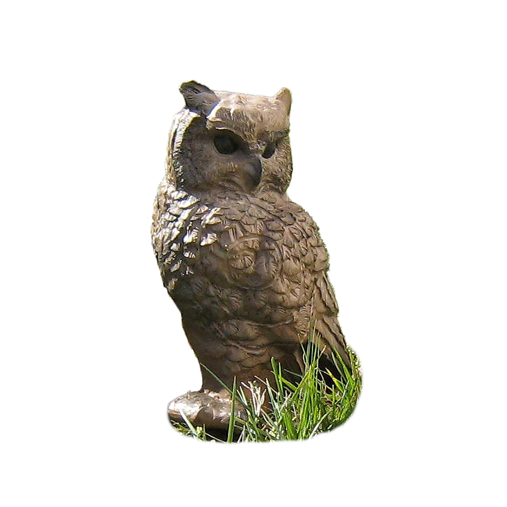 CSS, Kauz Hedwig CSS, Kauz Hedwig