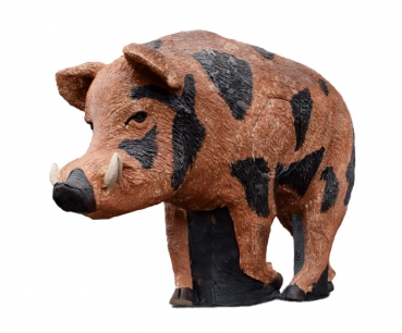 Wildcrete Wildschwein Wildcrete Wildschwein