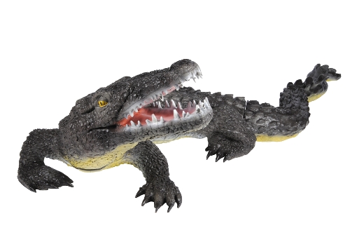 Franzbogen Alligator, groß